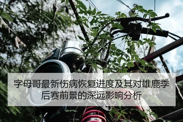 字母哥最新伤病恢复进度及其对雄鹿季后赛前景的深远影响分析